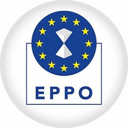 European Public Prosecutor's Office Appoints One, Rejects One Bulgarian Nominee for European Delegated Prosecutor