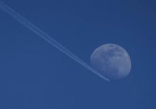 "Луфтханза" отменя 10 процента от полетите си заради Омикрон
