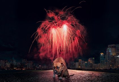 София посреща 2022 г. със светлинно шоу пред сградата на БНБ