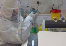 New COVID-19 Cases Drop to 3,754 In 24 Hours