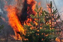 Firefighters Warn that Budget Cuts May Jeopardize Human Lives