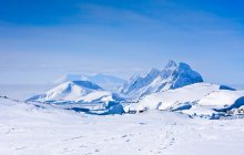 Bulgarian Antarctic Base Opens for New Polar Season