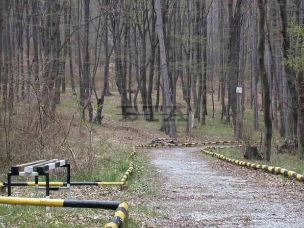 Дирекцията на природен парк "Сините камъни" организира поход в Сливенската планина по повод Международния ден на туризма