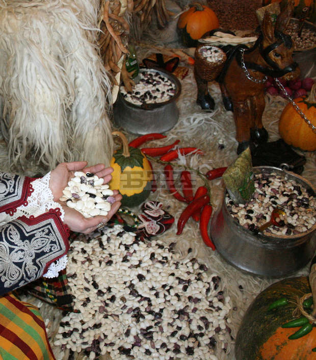 Реколтата от смилянски фасул се очертава по-слаба заради жегите