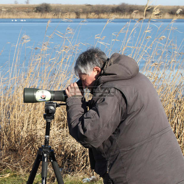 Топлата зима доведе по Северното Черноморие редки видове птици, коментира експерт в БДЗП