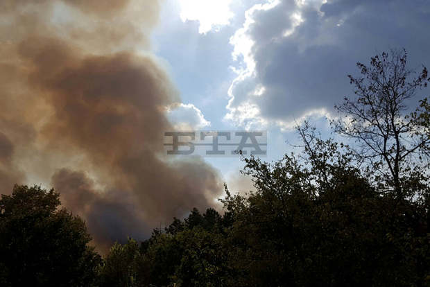 Овладян е и вторият пожар на територията на Национален парк "Пирин"