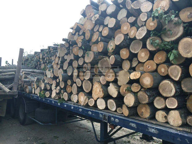 Полицията издирва шофьор, превозвал нелегална дървесина