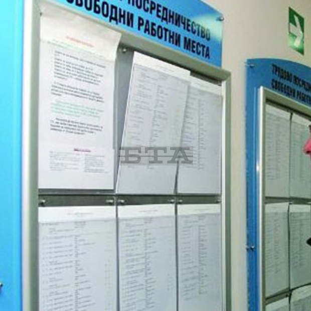 Близо половината от свободните места на трудовия пазар в Кърджалийско са за хора със средно образование