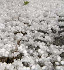 Градушка унищожи насажденията и посевите във видинското село Майор Узуново