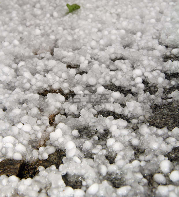 Градушка унищожи насажденията и посевите във видинското село Майор Узуново