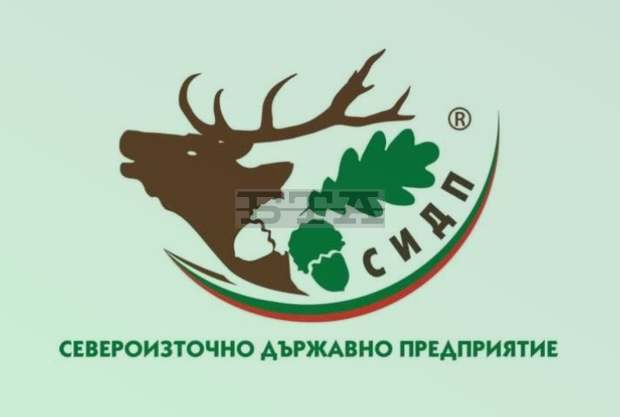 Седемдесет действащи гнезда на малки кресливи орли са потвърдени в България през 2021 г. Седемдесет действащи гнезда на малки кресливи орли са потвърдени в България през 2021 г.