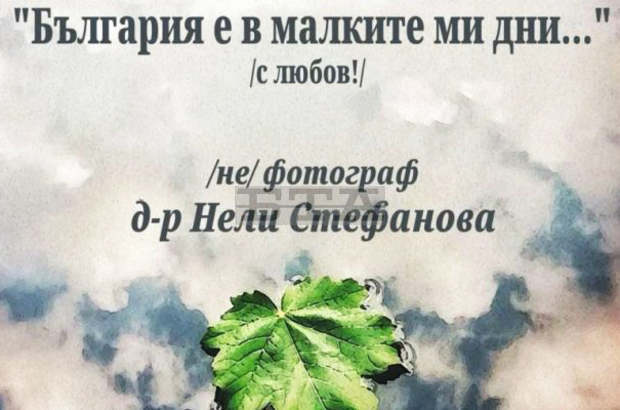"Арт Център - Плевен" подготвя благотворителна изложба за Медицинския университет за отстраняване щетите от пожара "Арт Център - Плевен" подготвя благотворителна изложба за Медицинския университет за отстраняване щетите от пожара