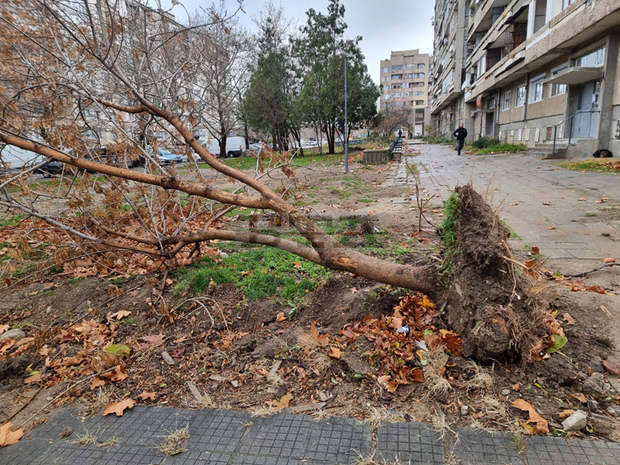 Движението в област Сливен трябва да се извършва с повишено внимание заради мокри настилки Движението в област Сливен трябва да се извършва с повишено внимание заради мокри настилки