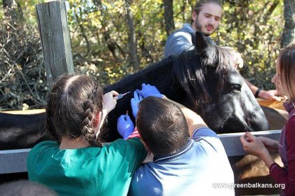 "Зелени Балкани" започнаха теренните дейности на инициативата Академия "Природа"