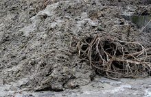 Критична остава ситуацията в община Петрич след прoливните дъждове