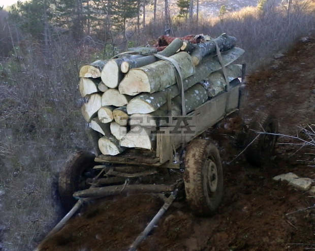 Три каруци с дърва са конфискувани в Държавното ловно стопанство "Паламара" Три каруци с дърва са конфискувани в Държавното ловно стопанство "Паламара"