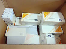 В Ямбол част от малките ученици се връщат в класните стаи, където не се провеждаха избори