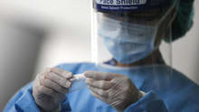 781 PCR Tests Confirm 32 New COVID-19 Cases, Bringing Bulgaria's Total to 14,365
