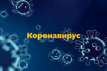 5,837 PCR Tests Confirm 195 COVID-19 Cases, Bringing Bulgaria's Total to 13,209