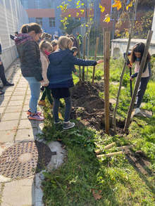 Israeli Embassy, Daycare Centre to Plant Trees for Earth Day