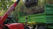 Двадесет и пет камиона с изсъхнали дървета са извозени при почистването на парк "Лаута" в Пловдив