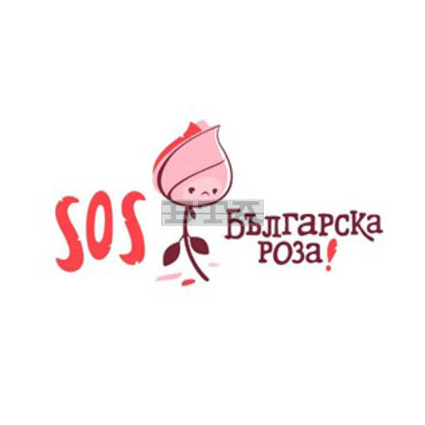 Започва кампания за спасяване на дейността на розопроизводителите в България - "SOS Българска роза" Започва кампания за спасяване на дейността на розопроизводителите в България - "SOS Българска роза"