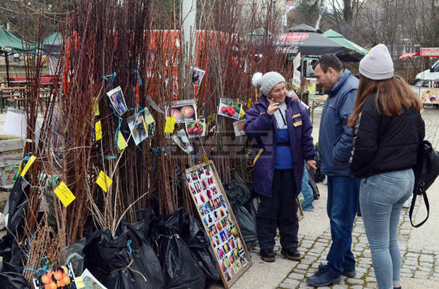 Борсата за семена в Добрич ще бъде открита на 2 февруари