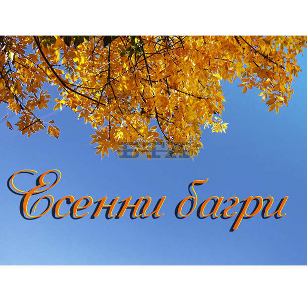 Изложба "Есенни багри" е подредена в Трън