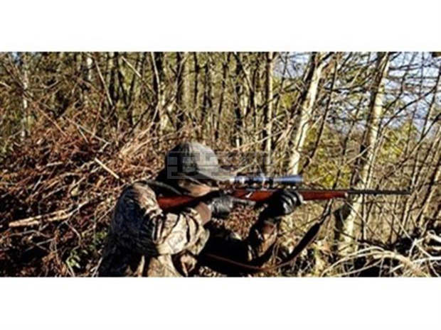Регионалната дирекция по горите е извършила 932 проверки при откриване на ловния сезон