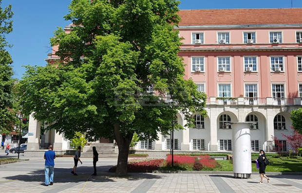 В Плевен Общината предоставя еднократно безплатни контейнери за строителни отпадъци В Плевен Общината предоставя еднократно безплатни контейнери за строителни отпадъци