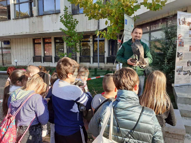 Десетки деца са се включили в "Нощ на прилепите" в Ловеч