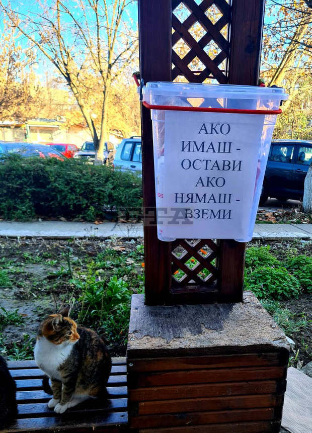 Инициатива в подкрепа на хора в нужда намери последователи и в град Кубрат Инициатива в подкрепа на хора в нужда намери последователи и в град Кубрат