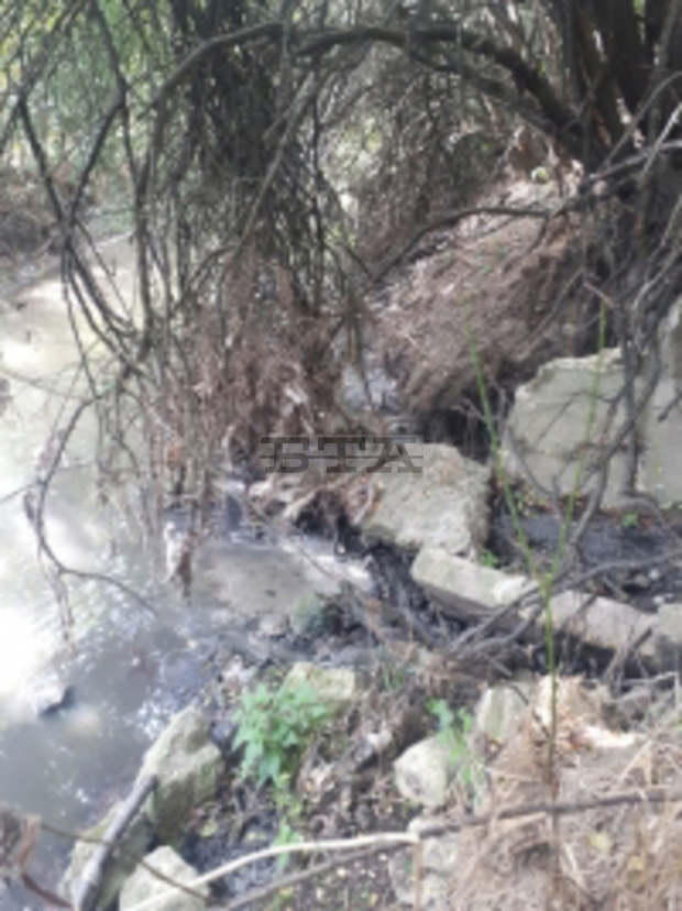 Екоинспекцията установи замърсяване с отпадъчни води на река Бели Лом край Разград
