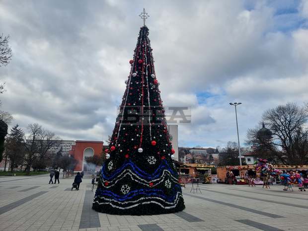 Десетметрова коледна елха допълва празничната атмосфера в центъра на Плевен Десетметрова коледна елха допълва празничната атмосфера в центъра на Плевен