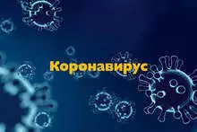 5,443 PCR Tests Confirm 163 New COVID-19 Cases, Bringing Bulgaria's Total to 16,617