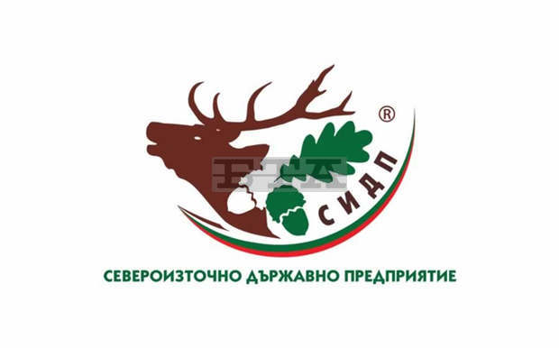Повече от 50 декара нови гори ще израстат край Балчик