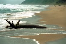 President Imposes Veto on Black Sea Coast Development Act