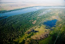 Persina Nature Park: 21 Years of Danube Wetlands Conservation