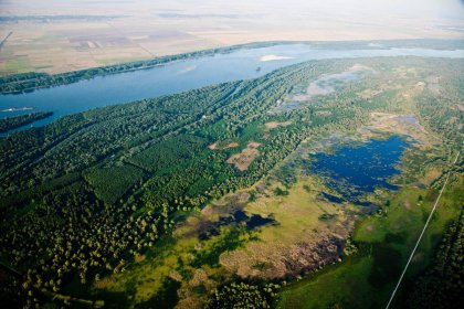 Persina Nature Park: 21 Years of Danube Wetlands Conservation