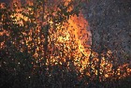 Two Forest Rangers Die Fighting Wild Fire in Southern Bulgaria Two Forest Rangers Die Fighting Wild Fire in Southern Bulgaria