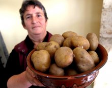Производителите на картофи, лук и чесън трябва да докажат реализирана продукция по обвързаната подкрепа до 31 януари