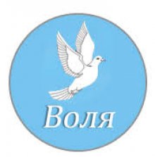 Volya Not Supportive of Socialists' No-Confidence Motion against Government