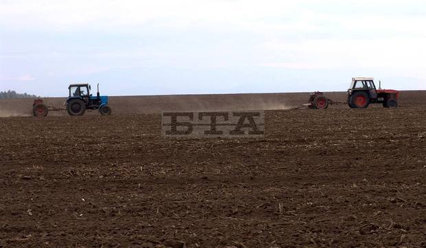 Засадени са 7 652 ха с пшеница в Пернишка област Засадени са 7 652 ха с пшеница в Пернишка област