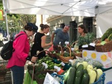 Health Minister Issues Order on Farmers' Markets Reopening, Farm Land Cultivation, Animal Husbandry, Feed Production