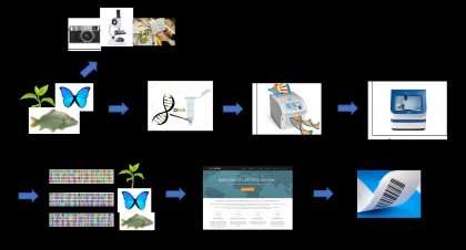 Мултидисциплинарен екип от БАН прилага ДНК баркодиране и метабаркодиране като иновативни маркерни технологии за изследване на националното растително биоразнообразие
