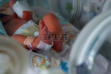 Premature Infants Recover with No Parental Love During the Pandemic, Experts Say