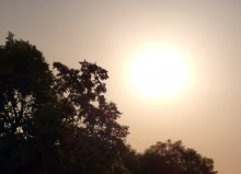 Температурен рекорд бе отчетен в Русе - 41,6 градуса